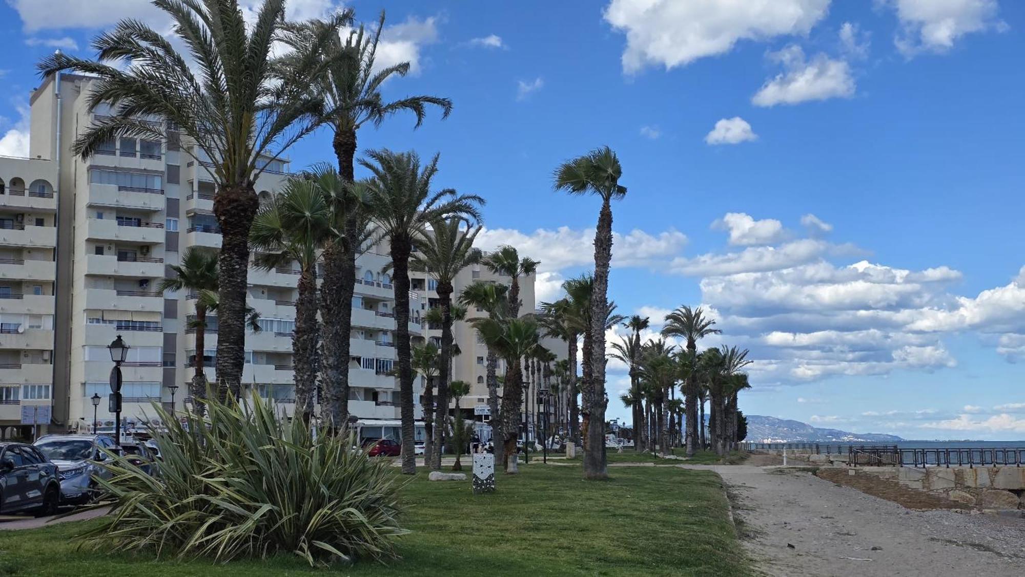 Regata Playa Oropesa del Mar